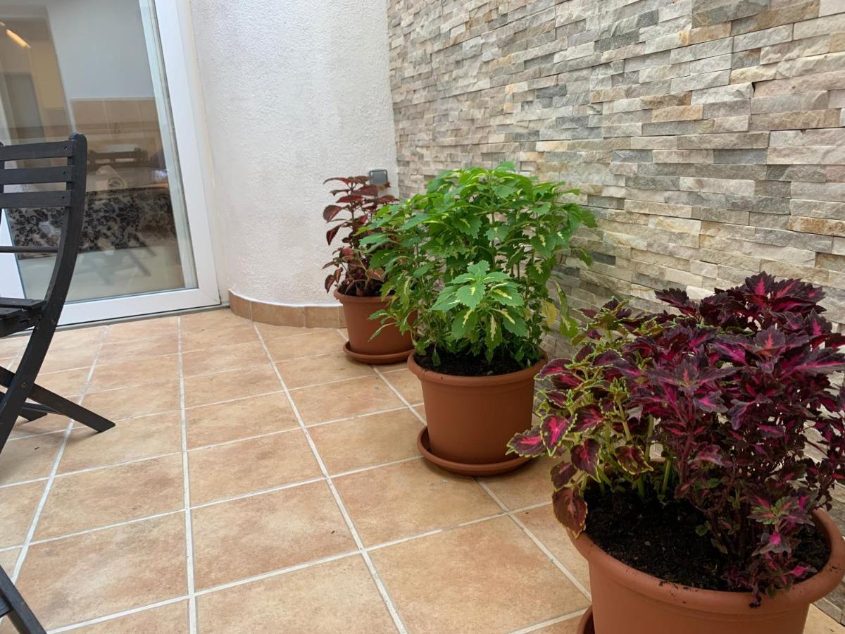 Patio Port Serrallo *